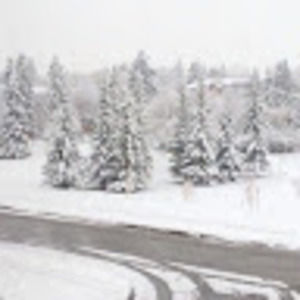 Meet your Posher, Kiara